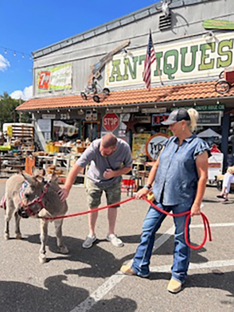 Buster the Burro in front of Cowgirl Country Antiques