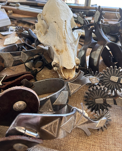 antique spurs and decorative cow skull on a table